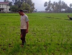 Bendungan Krueng Pase Tak Kunjung Rampung, Petani Aceh Utara Minta Perhatian Jokowi