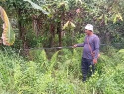 Warga Dusun Biram Plu Pakam Keluhkan Tiang Listrik Dan Kabel Melorot