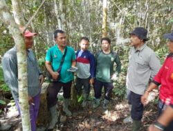 Terkait Dengan Pengajuan TORA di Lubok Pusaka, Ini Kata Koordinator Pamhut BKPH Uring