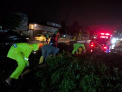 Respon Cepat, Polantas Lhokseumawe Bantu Pindahkan Pohon Tumbang di Jalan Lintas Medan – Banda Aceh