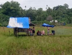 Masyarakat Tani Blang Crum Gelar Tradisi Kenduri Blang