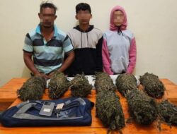 Polisi Tangkap Tiga Pengedar Ganja, Dua di Antaranya Suami Istri