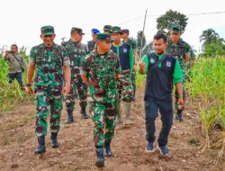 Pangdam IM Pantau Lahan I’M Jagong Di Sawang Aceh Utara