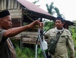 Terkait dengan Gajah Liar Merusak Lahan Pertanian, Masyarakat Minta Tindakan Serius dari Pemerintah