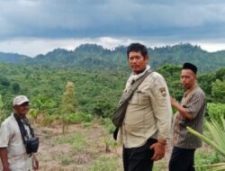 Konflik Manusia-Gajah di Blang Pante Aceh Utara Terus Meningkat, BKSDA Mengajak Upaya Penyelamatan