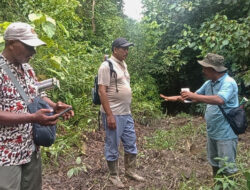 BKSDA Aceh Menggiring Gajah Liar untuk Mencegah Konflik di Paya Bakong