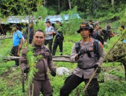 Kapolres Gayo Lues Musnahkan 5 Hektar Ladang Ganja