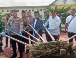 Polres Aceh Utara Menghancurkan 65,5 Kg Narkotika Jenis Sabu dan Ganja