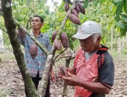 Bagian Dua: Pucoek Reunteh di Tengah Tantangan dan Perubahan Komoditas Pertanian