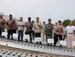 Dukungan Pemko Dorong Kelompok Tani Blang Buloh Tanam 10 Hektare Bawang Merah