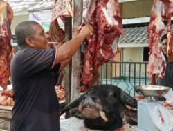 Harga Daging Meugang di Peunteut dan Sekitarnya Anjlok hingga 100 Ribu per Kilogram