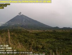 Gunung Semeru Kembali Erupsi, Masyarakat Dihimbau Waspada