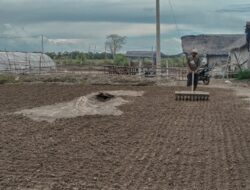 Petani Garam Lancok Mengais Asa Saat Cuaca Buruk