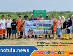 Peringati Hari Mangrove Sedunia 2024, PT PIM Tanam 1000 Bibit Pohon di pesisir pantai