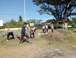 Personil Polsek Simpang Kramat Sulap Pekarangan Jadi Lahan Tani Produktif