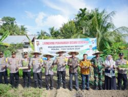 Kapolres Lhokseumawe dan Muspida Aceh Utara Launching Penanaman Serentak Perkarangan Pangan Bergizi