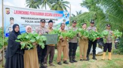 Kapolsek dan Muspika Panen Perdana Sawi di Pekarangan Pangan Bergizi Polsek Meurah Mulia