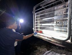 Excavator Terbakar di Kebun Pase Damai, Polisi Selidiki Penyebabnya
