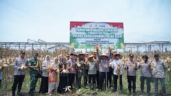 Bersama Wali Kota dan Dandim, Kapolres Lhokseumawe Panen Raya Jagung Serentak Bareng Presiden Prabowo secara Virtual