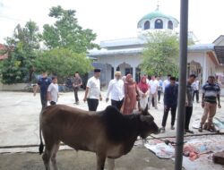 Polres Lhokseumawe Sembelih 7 Ekor Sapi Qurban, Daging Disalurkan ke Warga Sekitar
