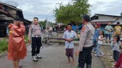Polisi Sigap Tanggapi Pohon Tumbang di Cot Merbo, Imbau Warga Tetap Waspada Cuaca Ekstrem