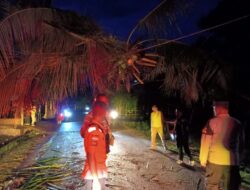 Polsek Blang Mangat Respons Cepat Pohon Tumbang di Desa Teungoh, Imbau Warga Waspada Cuaca Ekstrem