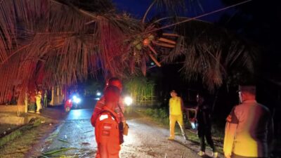 Polsek Blang Mangat Respons Cepat Pohon Tumbang di Desa Teungoh, Imbau Warga Waspada Cuaca Ekstrem