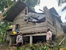 Pohon Tumbang Terjang Rumah Warga, Kapolres Lhokseumawe Perintahkan Tindakan Cepat dan Pastikan Korban Dapat Perhatian