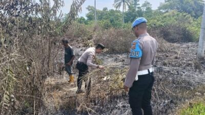 Dukung Ketahanan Pangan, Polsek Dewantara dan Warga Bersihkan Lahan Jagung di Paloh Gadeng