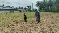Dukung Ketahanan Pangan, Polsubsektor Banda Baro Tinjau Lahan Jagung Petani Binaan di Ulee Nyeu