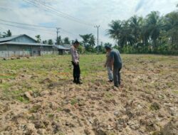 Dukung Ketahanan Pangan, Polsubsektor Banda Baro Tinjau Lahan Jagung Petani Binaan di Ulee Nyeu