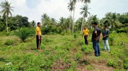 Polsubsektor Banda Baro Tinjau Lahan Sawit untuk Ditanami Jagung di Desa Paya Beunyot