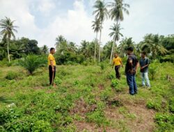 Polsubsektor Banda Baro Tinjau Lahan Sawit untuk Ditanami Jagung di Desa Paya Beunyot