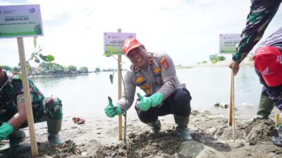 Wakapolres Lhokseumawe Hadiri Penanaman 2.000 Mangrove di Pusong, Harapkan Masa Depan Kota Lebih Hijau