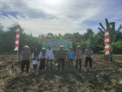 Polsek Muara Satu Tanam Jagung Serentak di Lahan PT. Humpus Aromatik, Wujud Nyata Dukung Swasembada Pangan