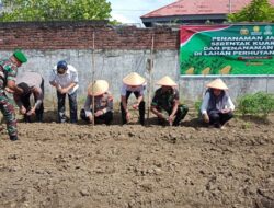 Polsek Banda Sakti Dukung Ketahanan Pangan Lewat Penanaman Jagung Serentak