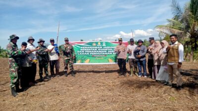 Polsubsektor Banda Baro Gelar Penanaman Perdana Jagung Serentak, Dorong Swasembada Pangan di Aceh Utara
