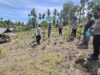 Polsek Sawang Tanam Jagung Serentak Dukung Program Asta Cita Presiden RI untuk Swasembada Pangan