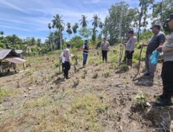 Polsek Sawang Tanam Jagung Serentak Dukung Program Asta Cita Presiden RI untuk Swasembada Pangan