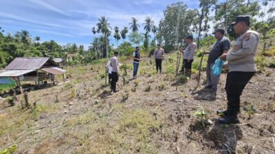 Polsek Sawang Tanam Jagung Serentak Dukung Program Asta Cita Presiden RI untuk Swasembada Pangan