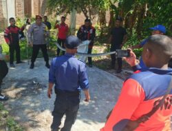 Ular Phyton Sepanjang 3 Meter Gegerkan Warga Ujong Blang, Dievakuasi Polisi dan Damkar