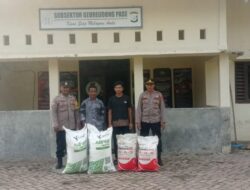 Dukung Ketahanan Pangan : Polres Lhokseumawe Salurkan Pupuk ke Petani di Geureudong Pase