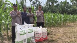Dukung Ketahanan Pangan : Polres Lhokseumawe Salurkan Pupuk ke Petani di Geureudong Pase