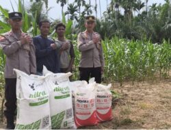 Dukung Ketahanan Pangan : Polres Lhokseumawe Salurkan Pupuk ke Petani di Geureudong Pase