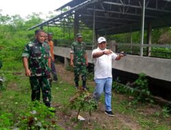 Dandim 0103/Aceh Utara Tinjau Lahan Ketahanan Pangan Vinca Farm di Lhokseumawe