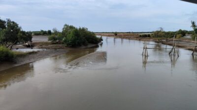 Sungai Kuala Cangkoy Dangkal, Ribuan Hektare Tambak di Aceh Utara Terancam Gagal Panen