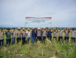 Polres Lhokseumawe Gelar Panen Raya Jagung Serentak Kuartal III Dukung Swasembada Pangan 2025
