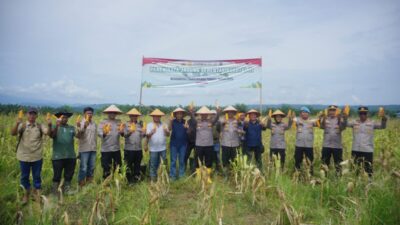 Polres Lhokseumawe Gelar Panen Raya Jagung Serentak Kuartal III Dukung Swasembada Pangan 2025