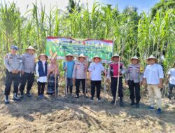 Polsek Blang Mangat Tanam Jagung Serentak Bersama Warga, Dukung Swasembada Pangan 2025
