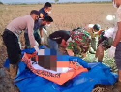 Korban Banjir yang Hilang Ditemukan Meninggal Dunia di Persawahan Paloh Raya